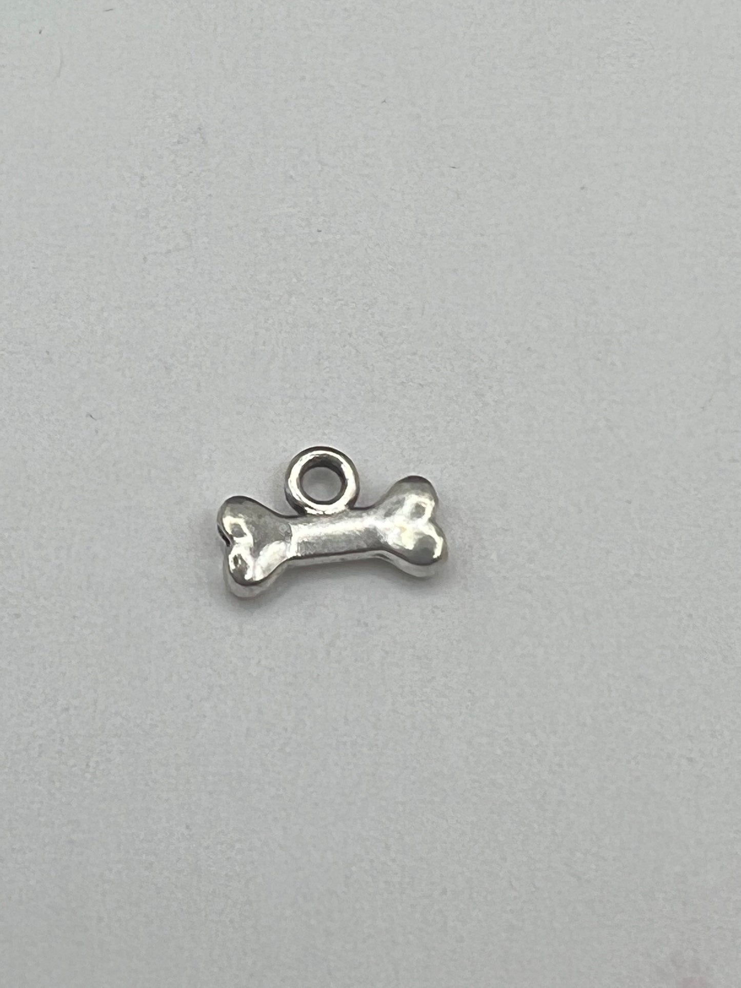 Pet Lover Charms